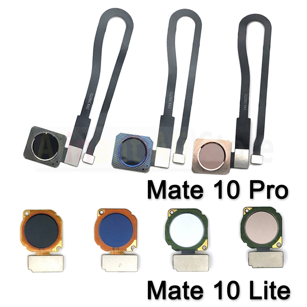Fingerprint Cable Flex - Ban Đầu Trở Về Nhà Nút